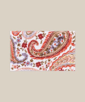 PAISLEY TOWEL RENKLİ